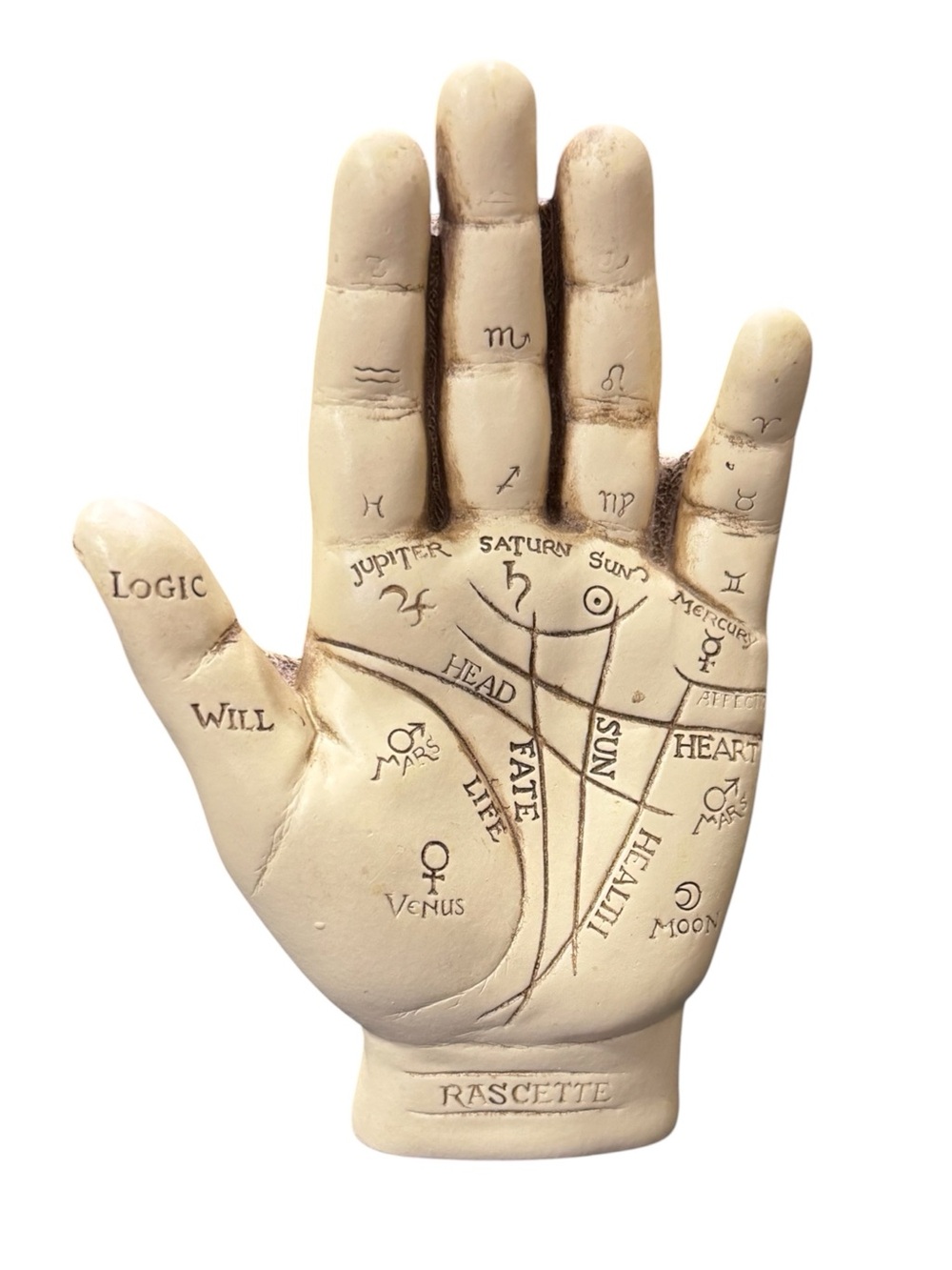 Resin Palmistry Hand Model with Original Caster’s Initials